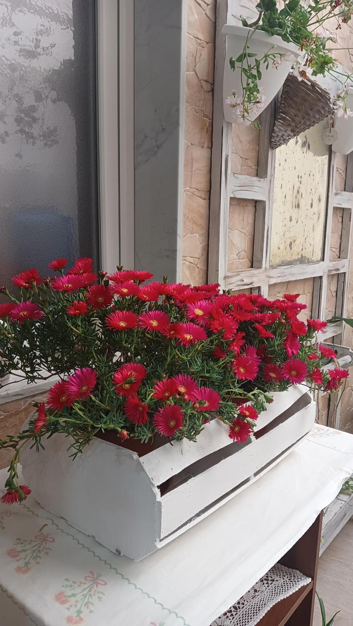 Le 3 Dee Bed and Breakfast Reggio di Calabria Rum bild